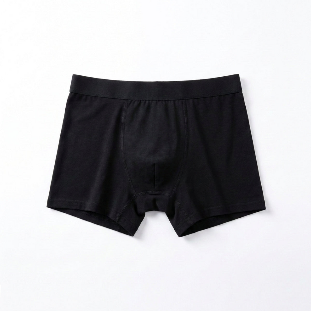 Titan Boxers 2026 Leakproof Originals